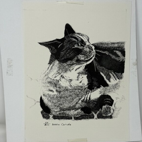 Limited Edition Bobbie Cericola Cat Pen Art Print 25/300 Black White Signed 9x12 - Picture 3 of 7